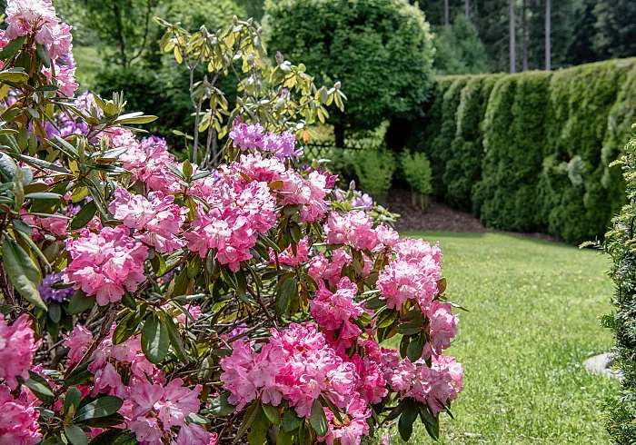 k1600_garten_ii.jpg